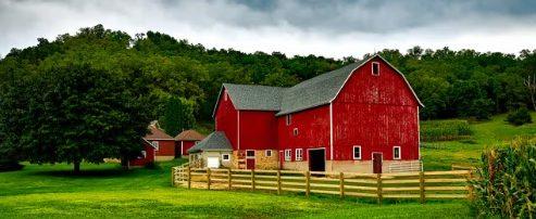 Baldwin Farms & Co banner